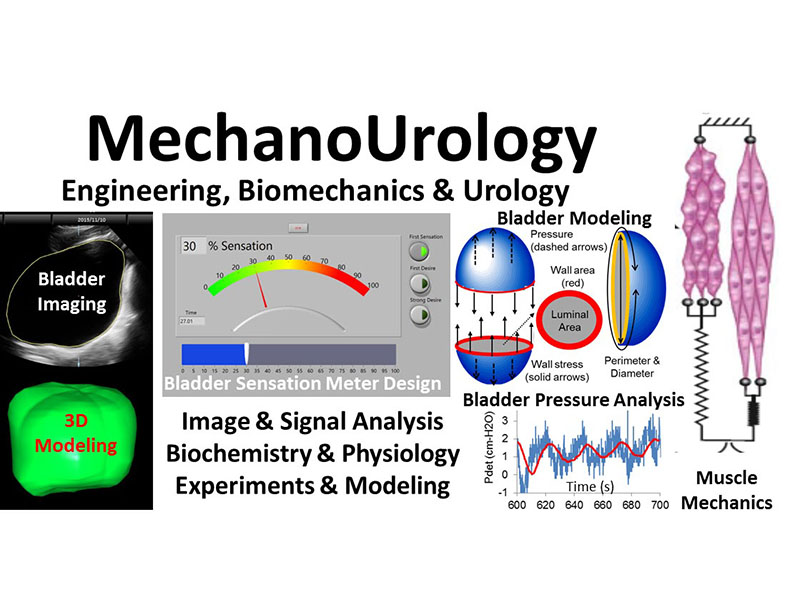 MechanoUrology, Biomechanics and Robotics Laboratory Informational Graphic